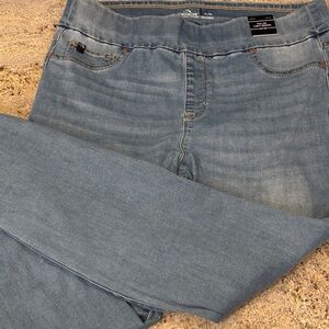 Jordache Light Blue Curvy Jegging Jeans